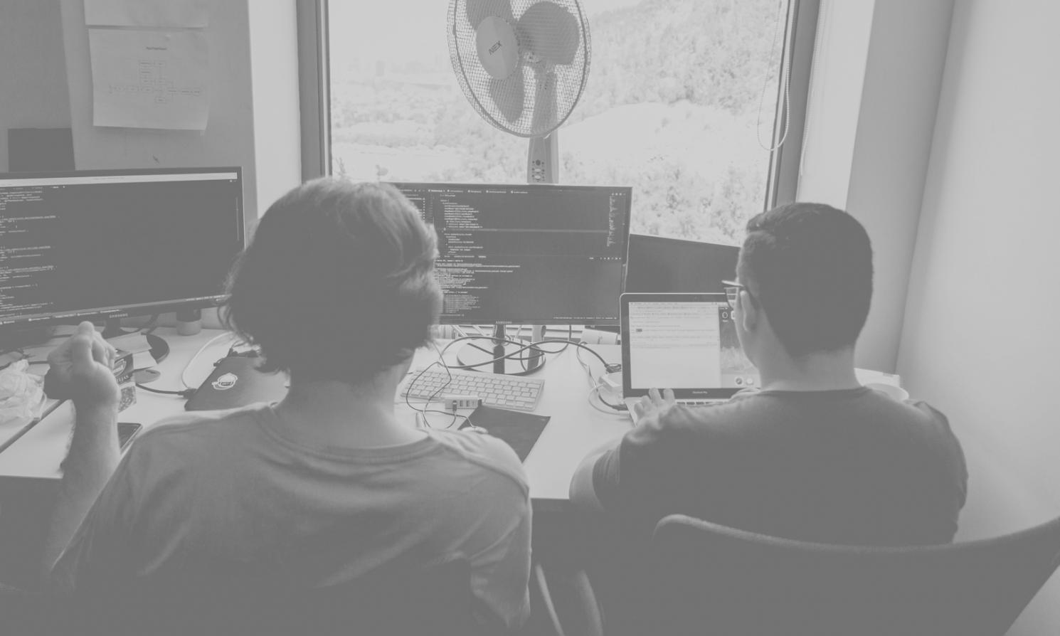 Students analyzing stock market data during interactive learning session